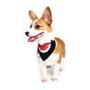 Pet Dog Cotton Personalized Collar Summer Winter Pet Bids Puppy Watermelon Collar