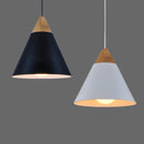 Single Head Diameter 22CM Creative Bar Coffee Dining Room Pendant Hanging Ceiling Light Fixture