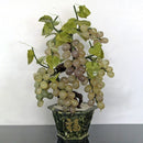 Egrow 50Pcs/Pack Grape Vine Seeds Organic Outdoor Sweet Fruit Seed Succulent Plants Indoor Bonsai