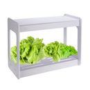 LED Hydroponic Plant Succulent Herb Grow Light Indoor Garden Full Spectrum Rack