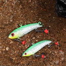 ZANLURE 5pcs/set 35g 5.5cm Winter Ice Fishing Lure 3D Eyes Carp Fly Hard Bait Lure