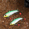 ZANLURE 5pcs/set 35g 5.5cm Winter Ice Fishing Lure 3D Eyes Carp Fly Hard Bait Lure