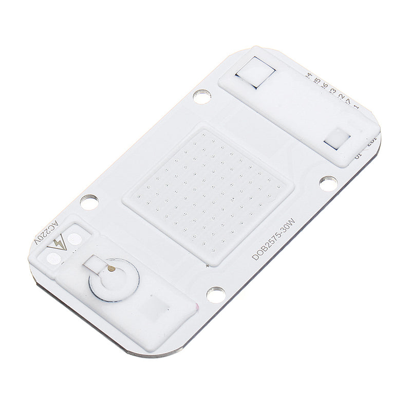 LUSTREON 20W/30W/50W Warmwhite/White/Blue/Red/Green COB LED Chip Floodlight Spotlight AC220-240V