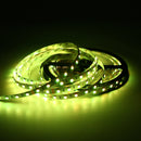 5M 60W SMD5050 RGB Waterproof Non-waterproof 300LEDs Strip Light DC24V