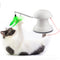 Loskii Pet Laser Cat Toys Feather Ribbon Laser Electric Cat Toy Turntable USB Charging