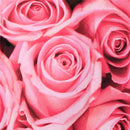 3x5ft Vinyl Lawn Pink Rose Flowers Floor Backdrop Photo Photography Background Studio Prop