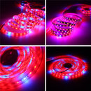 DC12V 5M 5050 Red:Blue 5:1 Full Spectrum LED Grow Strip Hydroponic Plant Light Kit + Power Adapter
