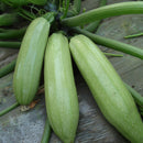 Egrow 20Pcs/Bag Bottle Gourd Seeds Funny Vegetable in Farm as Mini Tool Big Wine Gourd Spoon Seeds