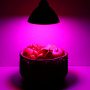 30W E27 LED Grow Light Bulb Plant Lamp for Flower Seeds Growing Hydroponics AC85-265V