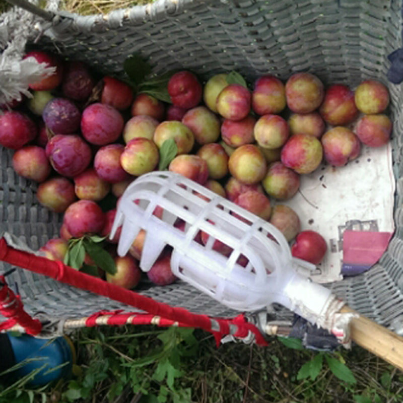 Garden Orchard Fruit Picker High Altitude Picking Fruit Peach Apple Plum Fruit Tools Kit Picker ( Without Stick )