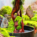 Egrow 100Pcs/Pack Moss Seeds Home DIY Bonsai Decoration Grass Seeds Potted Plants Seeds