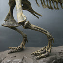 Jurassic Dinosaurs Tyrannosaurus Rex Skeleton Trex Animal Model Kids Toys Gift