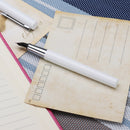 Xiaomi BRIO Fountain Pen EF Nib with Ink Bag Storage Bag Box Case