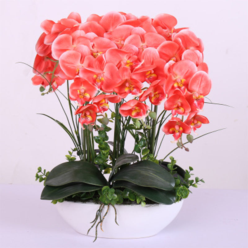Egrow 100Pcs Phalaenopsis Seeds Living Room Decoration Flowers Potted Plant Seed Home Garden