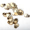 Loskii JM01543 150PCS Blank Wood Halloween Party Owl Skull Bat Pumpkin Cat Spider Halloween Decorations