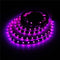 WS2811 5M 240 SMD 5050 LED Strip RGB Dream Color Light Non Waterproof DC 12V