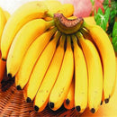 Egrow 200Pcs Garden Banana Seeds Outdoor Dwarf Fruit Trees Banana Milk Taste Perennial Potted Fruit