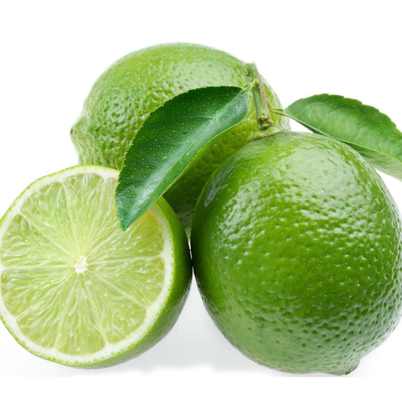 20Pcs Lime Seeds Citrus Aurantifolia Organic Fruit Seeds Lemon Tree Bonsai for Home Garden