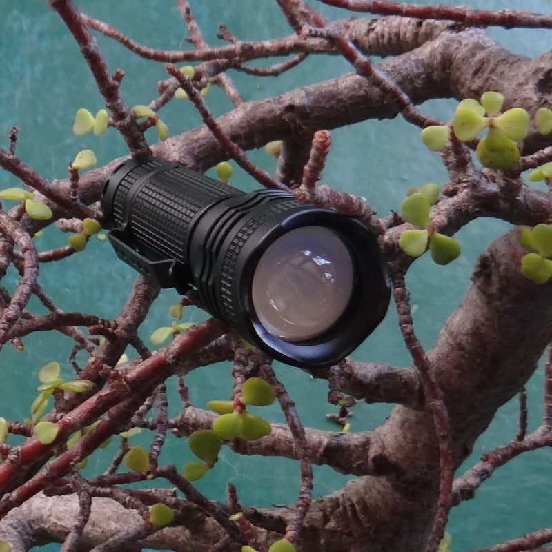 WainLight BD04 XPE Blue Light/L2 White Light Rechargeable Zoomable LED Flashlight Outdoor 18650 Flashlight Fishing Led Torch