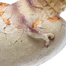 Large 15in Resin Dinosaur Egg Model Skeleton Fossils Incubated Animal Simulation