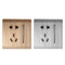 AC 110~250V LED Light Control Wall Mount Light Switch With Two/Three Pole Socket