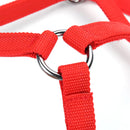 Nylon Horse Harness Halter Red Horsing Riding Adjustable For Pony Spurs Equestrian Supplies