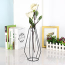 Flower Vase Holder Plant Display with Iron Stand and Glass Tube for Hydroponics Ornament Decorations in Different Size