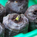 Honana HG-GT10 10Pcs Seedling Soil Block Peat Pellets Seed Starting Plugs Garden Tool Seeds Starter Pallet