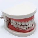 Molar Pads Anti-Grinding Orthodontic Brace Sleeping Wear-Resistant Teeth Braces Health Teeth Care Dental Tools