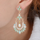 fashion Pearl Gemstone Giamond Drop Flower Earrings