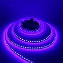 5M 5050 SMD 120LED/M Not-waterproof RGB Pure White Warm White LED Flexible Strip Light DC12V