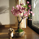 Egrow 10Pcs Sakura Flower Seeds Pink Cherry Blossom Tree Bonsai Plants Garden Rare Perennial