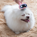 Jormel Pet Dog Cat Hair Removal Brush Space Cat Stainless Steel Dog Comb Grooming Tools Hair Shedding Trimmer Comb for Dogs Cats