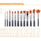 Bianyo 12Pcs Different Shape Nylon Hair Watercolor Paint Brush Set Student Drawing Art Supplies