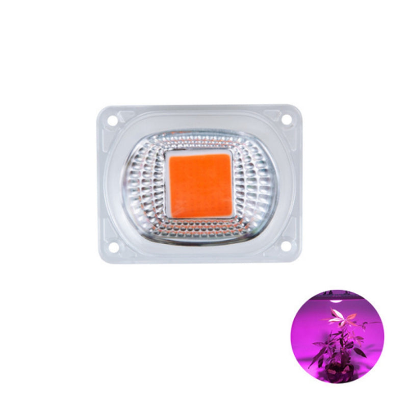 High Power 20W 30W 50W Full-spectrum COB LED Grow Light Chip with Lens for Floodlight AC110V/220V