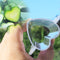 Heart-shaped Cucumber Shaping Mold Garden Vegetable Growth Forming Mould Tool