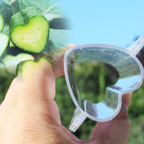 Heart-shaped Cucumber Shaping Mold Garden Vegetable Growth Forming Mould Tool