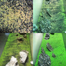 Egrow  Aquatic Double Leaf Plant Seeds Aquarium Plant Seeds Aquarium Fish Tank Decor