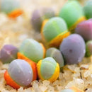 Egrow 100Pcs/Bag Succulent Plant Seeds Gibbaeum Heathii Bonsai Very Rale Succulent Bonsai Seeds