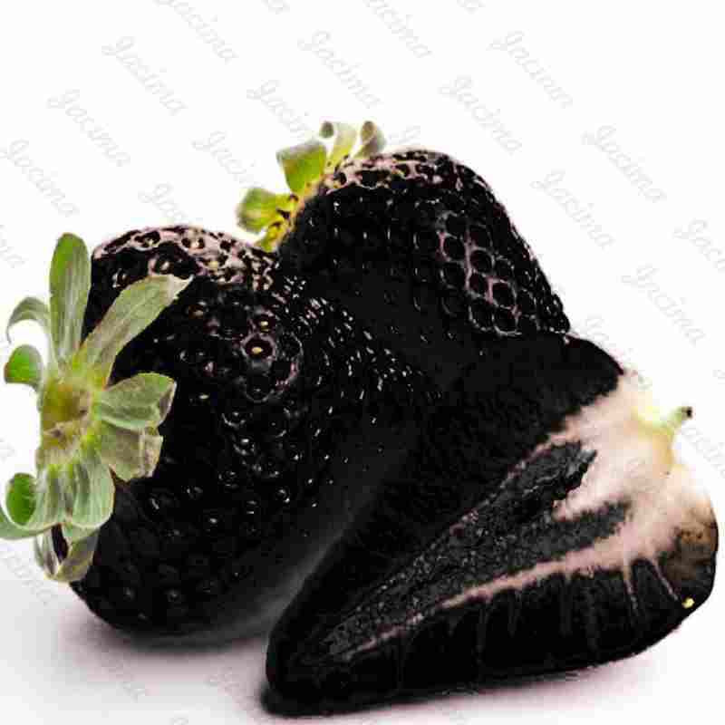 Egrow 200 PCS Black Strawberry Seeds Fresh Exotic Tasty Fruit Potted Seed Garden Bonsai Plant
