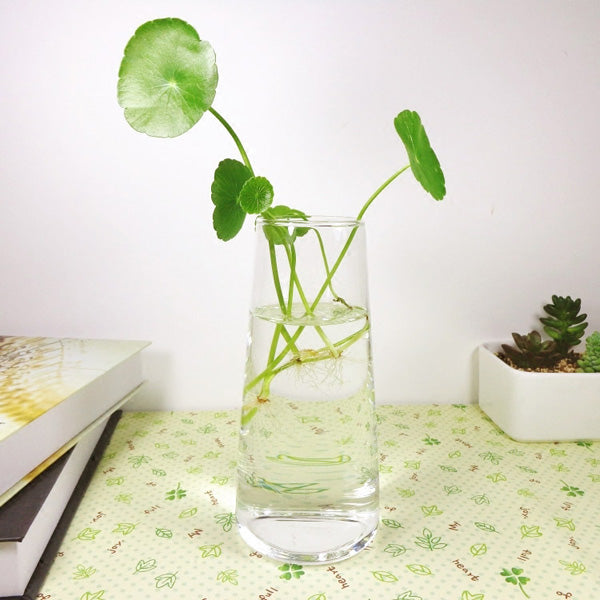 Cylinder Shaped Hydroponic Plants Glass Bottle Vase  Home Garden Wedding Party Decoration
