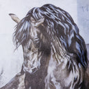 40x56cm Horse Canva-s Painting Pictures Wall Art Home Decorations Waterproof Unframed