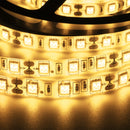 2PCS 5M SMD5050 Waterproof LED Strip Light RF Touch Dimmer+10A Power Adapter Kit DC12V