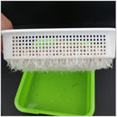 Seed Sprouter Tray Free PP Soil-Free Big Capacity Healthy Wheatgrass Grower Planting Grow Box
