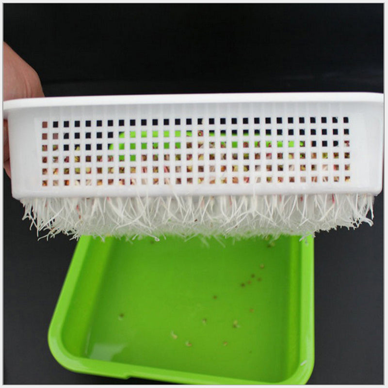 Seed Sprouter Tray Free PP Soil-Free Big Capacity Healthy Wheatgrass Grower Planting Grow Box