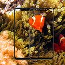 MOFI Anti-explosion Tempered Glass Screen Protector for Xiaomi Mi 8 Mi8 / Mi 8 Explorer / Mi 8 Pro