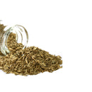Yani Aquatic Plant Seeds Indoor Ornamental Grass Seed Grass Landscaping Decorations