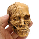 9cm Human Anatomical Anatomy Skull Head Muscle Bone Medical Model Home Decor