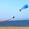 3D Huge Soft Parafoil Blue Dolphin Kite Outdoor Sport Entertainment Kite Frameless