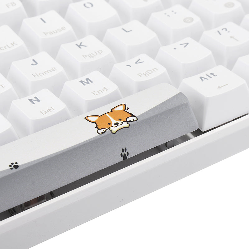 Five-sided Dyesub OEM Profile PBT Calico Space Bar 6.25u Novelty Keycap for GK61 Black Case and Cherry MX Switch Keyboard
